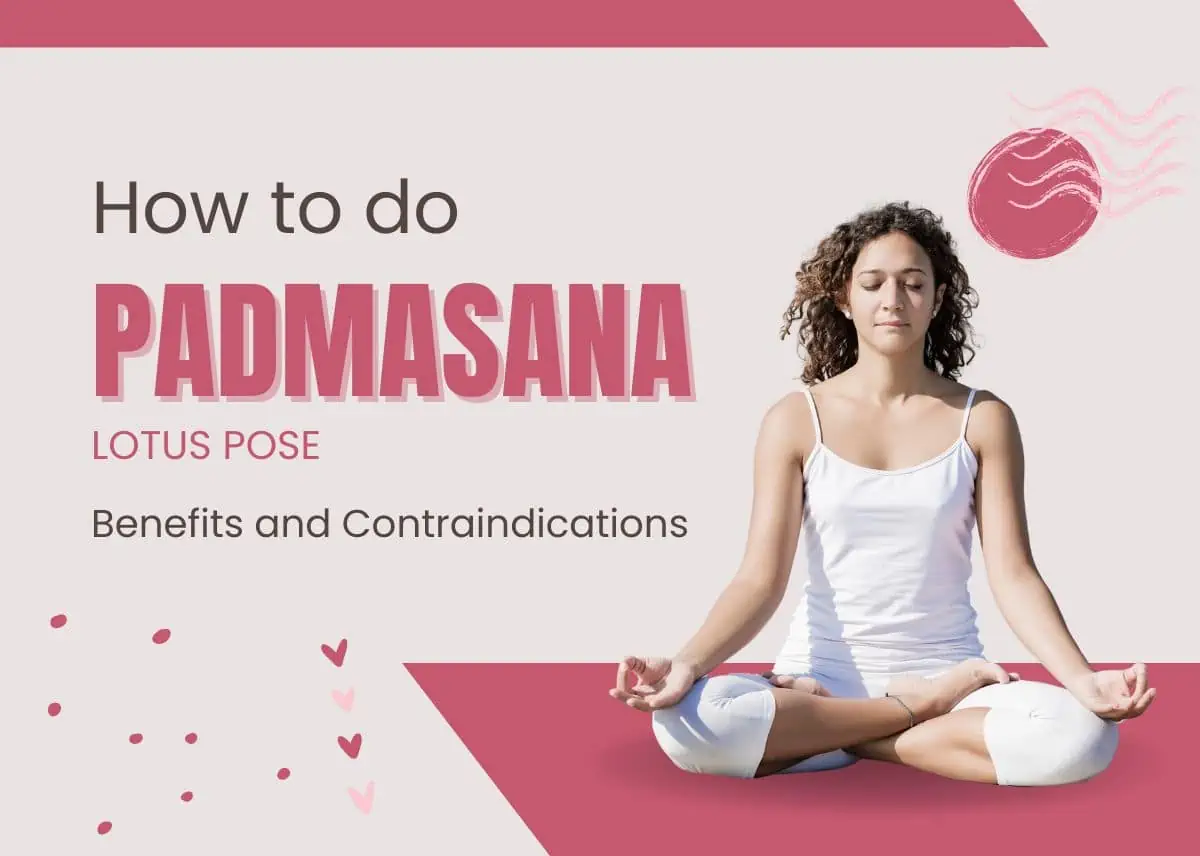 How To Do Lotus Pose Padmasana Benefits And Contraindications Yoga