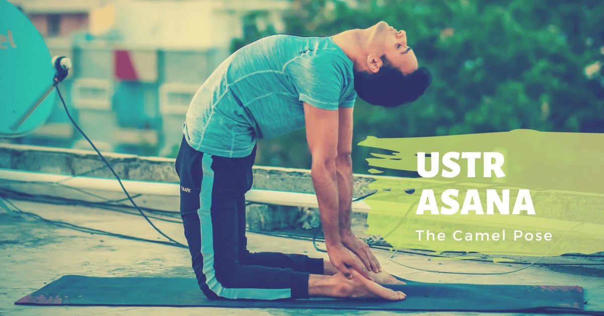 Ustrasana, Camel Pose or back bending pose, to improve back pain thanks to  yoga Stock Photo - Alamy