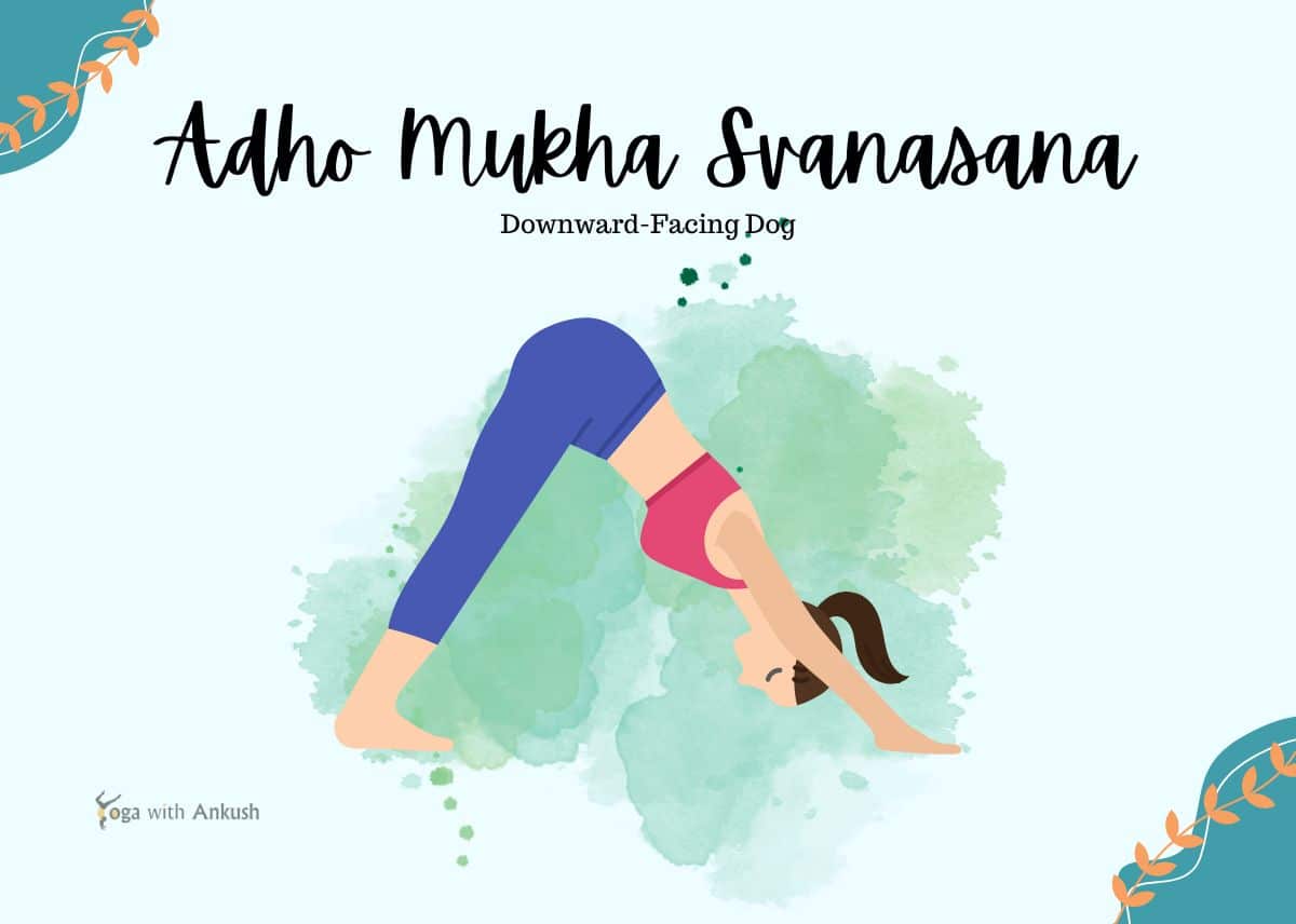 How To Do Adho Mukha Svanasana (Downward Dog Pose) – Adho Mukha ...
